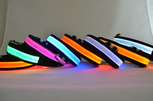 Coleira de Cachorro com Luz LED