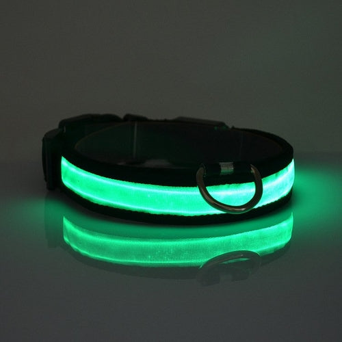 Coleira de Cachorro com Luz LED