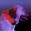 Coleira de Cachorro com Luz LED