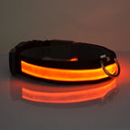 Coleira de Cachorro com Luz LED