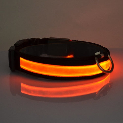 Coleira de Cachorro com Luz LED